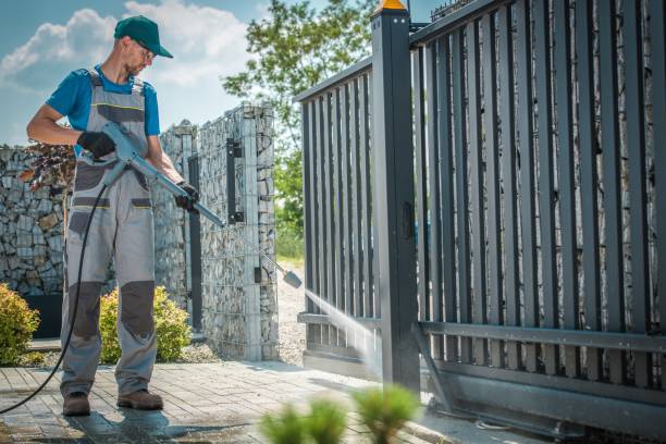 Best Pre-Holiday Cleaning  in Toulon, IL