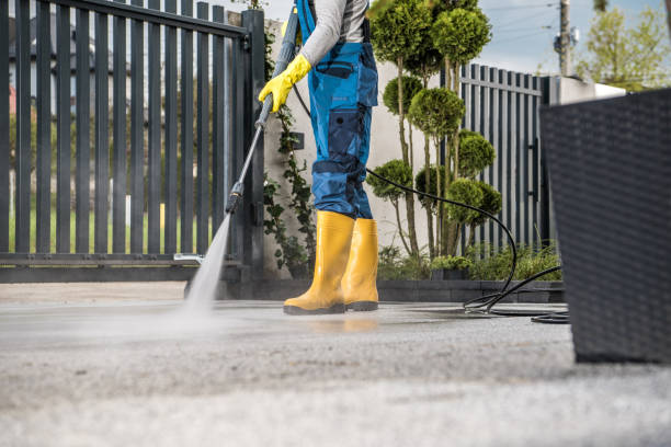 Best Pool Deck Cleaning  in Toulon, IL