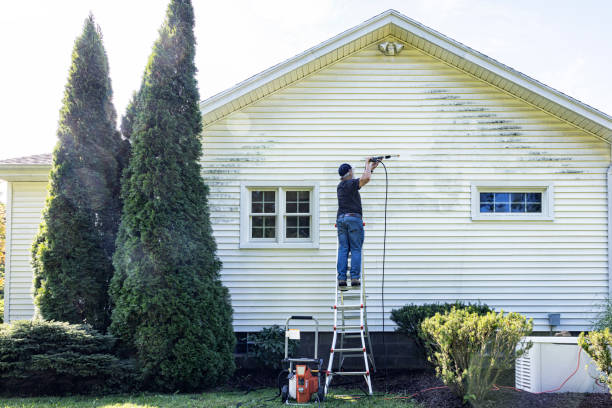 Best Building Exterior Washing  in Toulon, IL